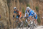 DSC01703.jpg (179kb)