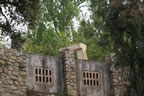 DSC01740.jpg (224kb)